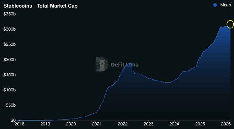 📈 СТЕЙБЛКОИНЫ: РЕКОРДНОЕ ПРЕДЛОЖЕНИЕ В $313 МЛРД