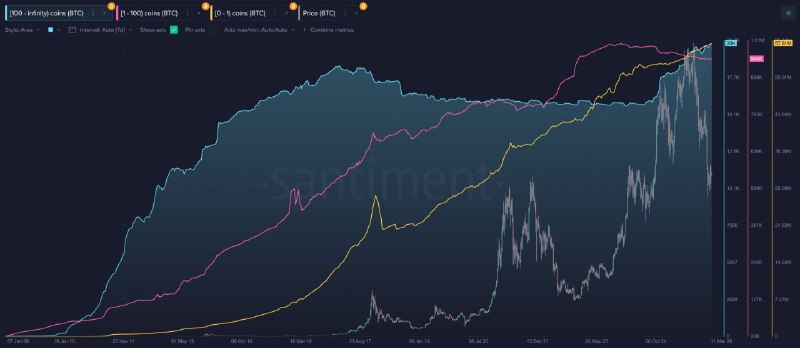 📈 BTC: КРУПНЫЕ КОШЕЛЬКИ СВЕРХ 100 МОНЕТ УЖЕ 20 000, НО ПРОДАЖИ РОСТУ НЕ ПОМОГАЮТ