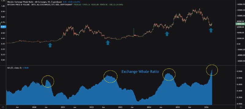 📉 BTC: КИТЫ НАВОДЯТ ПОРЯДОК, МЕЛКИЕ ТРЕЙДЕРЫ В ЗАЖИМЕ
