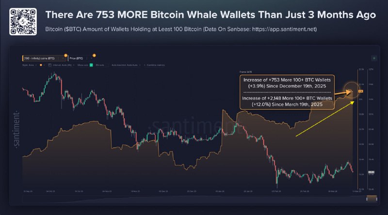 📈 BTC: КИТЫ ПОКУПАЮТ, ЦЕНА ЗАСТРЯЛА В БОКОВИКЕ
