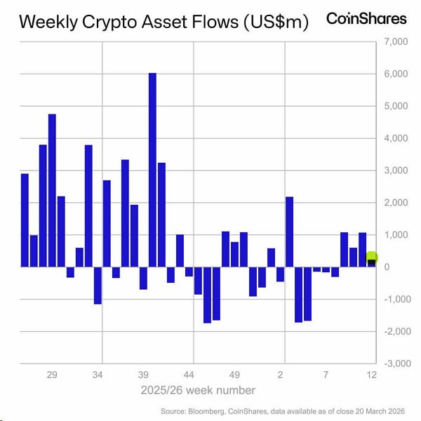 ⚡️ КРИПТО: ПРИТОКИ ОСЛАБЛЯЮТСЯ, НО ОСТАЮТСЯ В ПЛЮСЕ