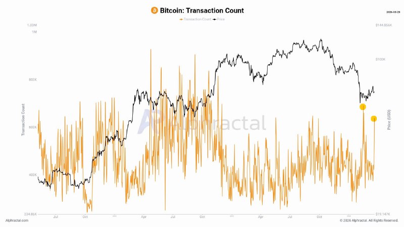 📈 BTC: КИТЫ АКТИВНИЗИРУЮТСЯ В БОКОВИКЕ, ЧТО ЗНАЧИТ ДЛЯ РЫНКА?