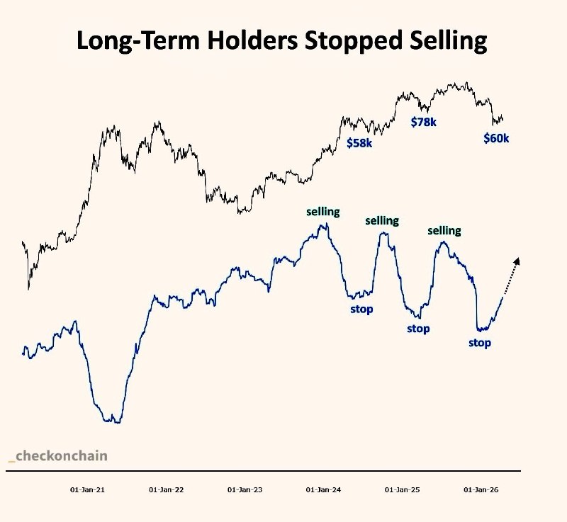 📈 BTC: ДОЛГОСРОЧНЫЕ ДЕРЖАТЕЛИ ПЕРЕШЛИ В ПОКУПКИ, СПРОС РАСТЕТ