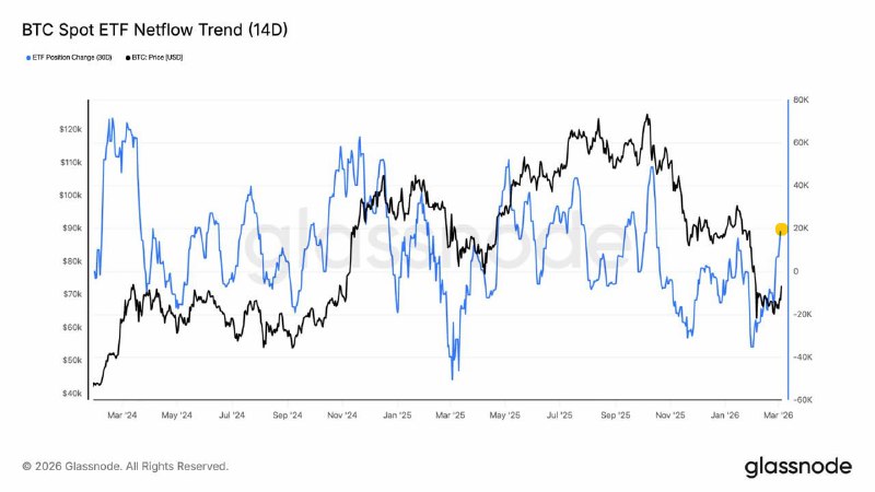📉 BTC ETF: ОТТОКИ, А НЕ ПРИТКИ, ПО ДАННЫМ GLASSNODE
