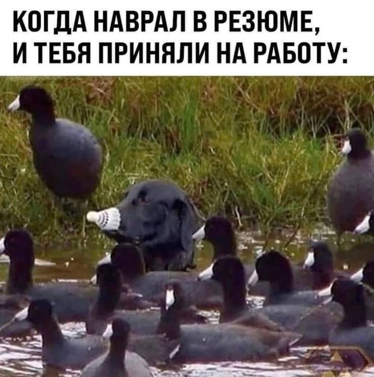 post image 294
