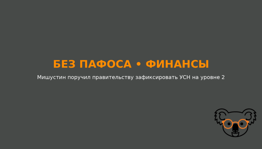 Мишустин поручил правительству зафиксировать УСН на уровне 20 млн рублей