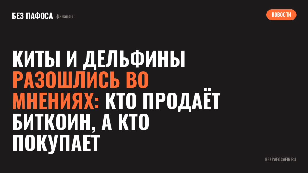Киты и дельфины разошлись во мнениях: кто продаёт биткоин, а кто покупает