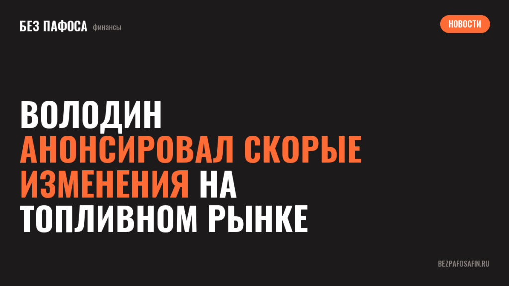 Володин анонсировал скорые изменения на топливном рынке
